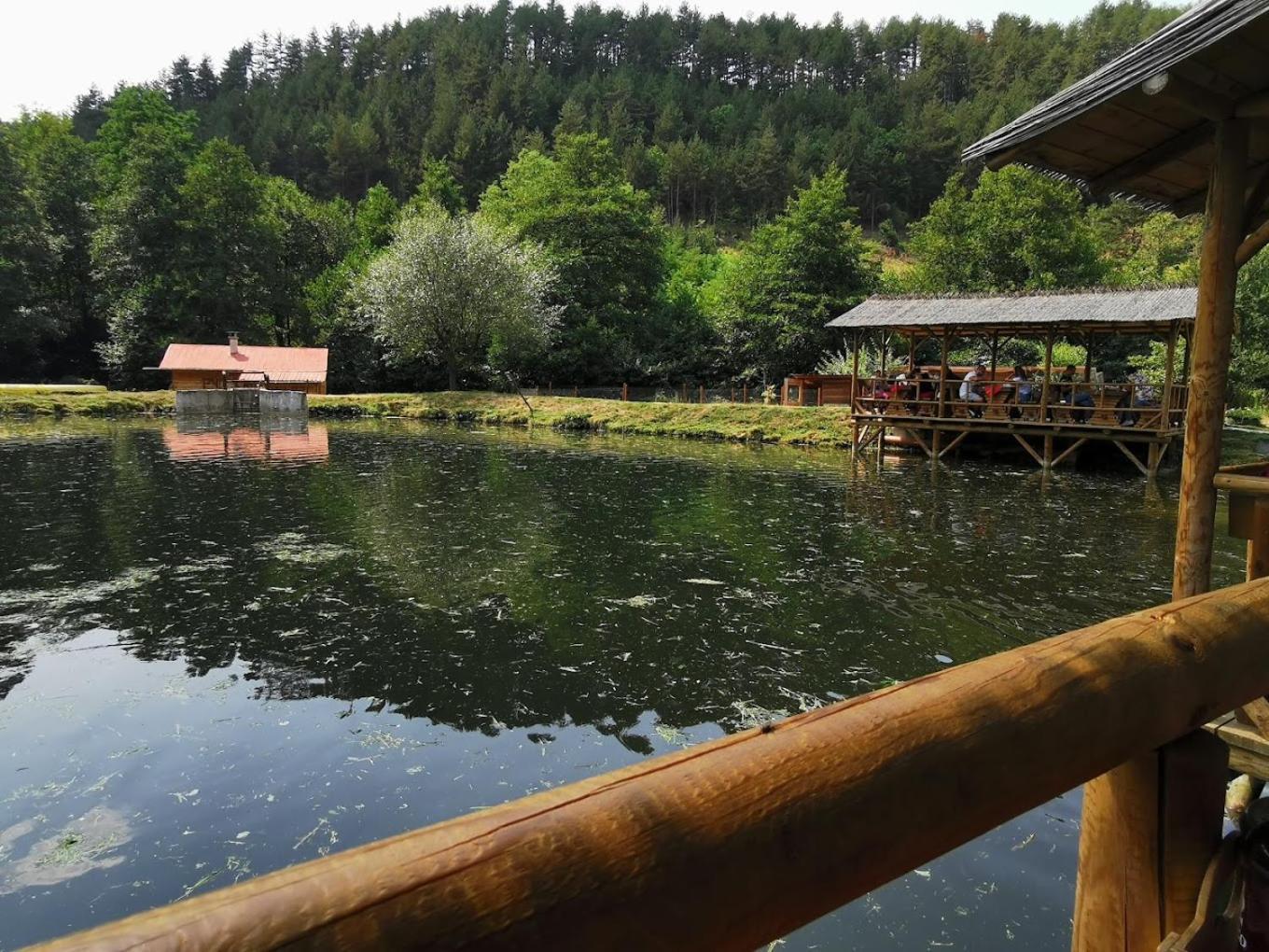 Pirina Club Hotel Bansko Exteriör bild